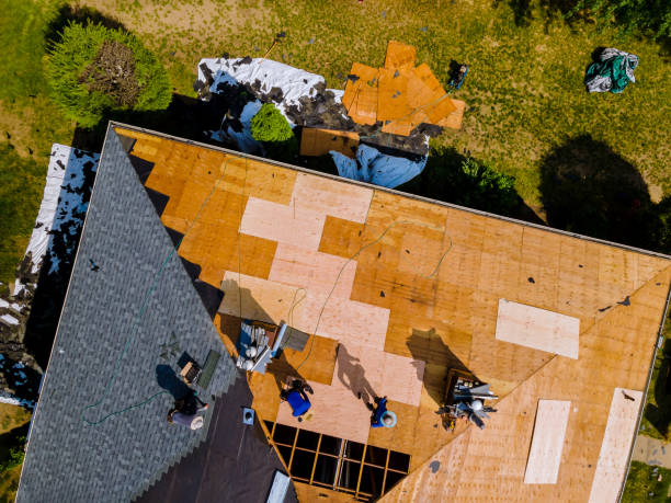 Best Roof Gutter Cleaning  in Fairfield Harbour, NC